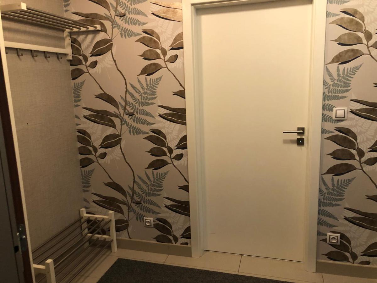 Apartman V Zeleni Dolní Morava Екстериор снимка