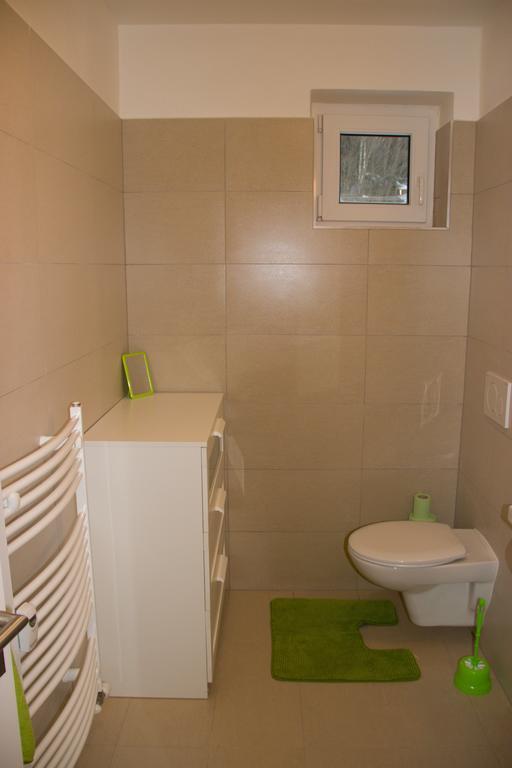 Apartman V Zeleni Dolní Morava Стая снимка